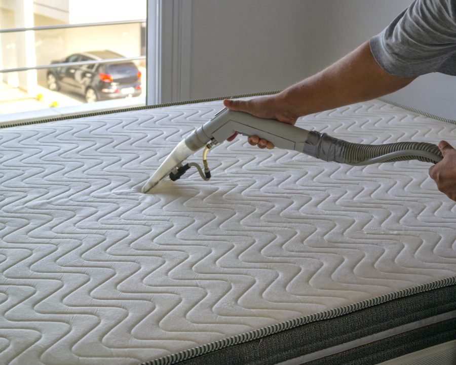 Photo of a person cleaning a mattress.