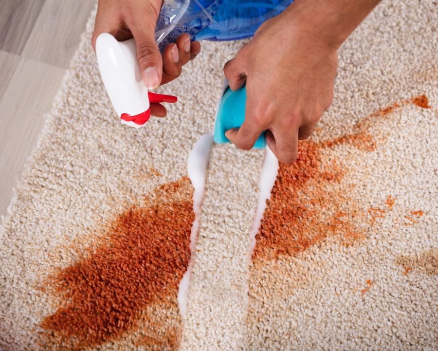Elevated View Of A Janitor Cleaning Stain On Carpet With Sponge