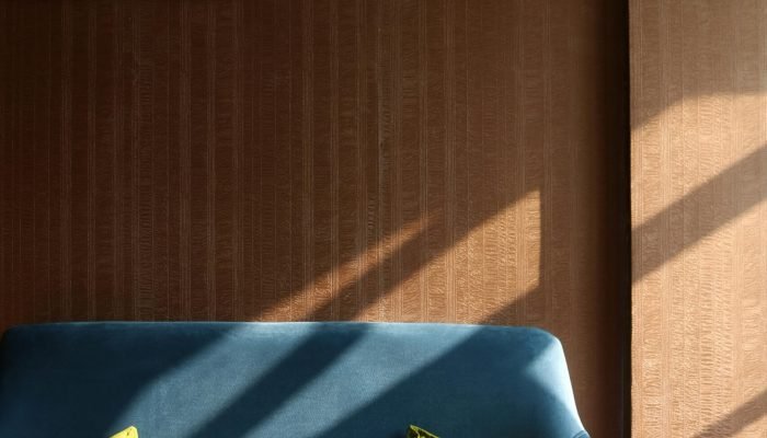 pexels-shirin-2986011